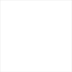 31087 TANGER PLAIN R9 12.3x12.3
