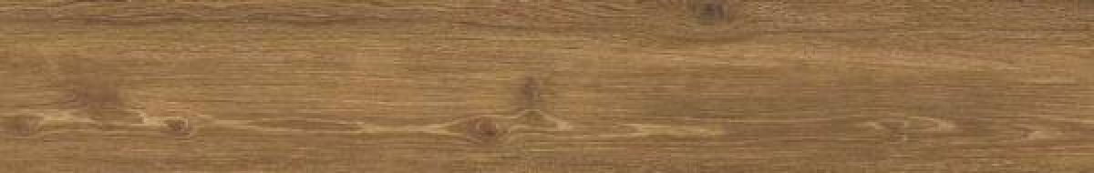 31601 Cigar AS 24x151