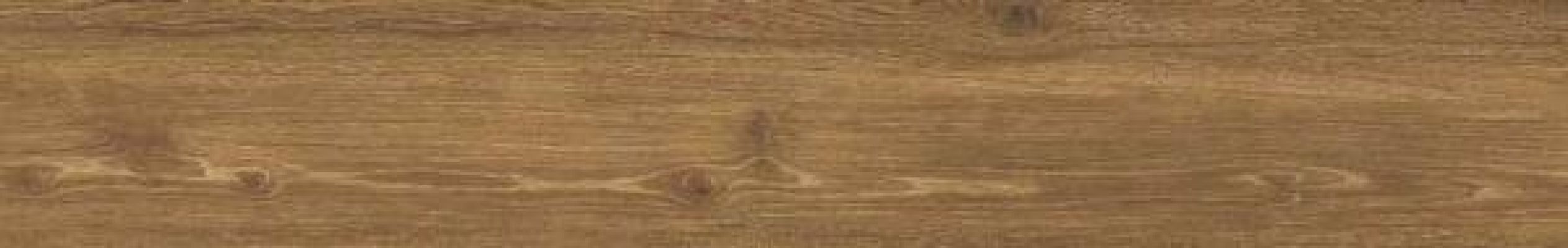 31601 Cigar AS 24x151