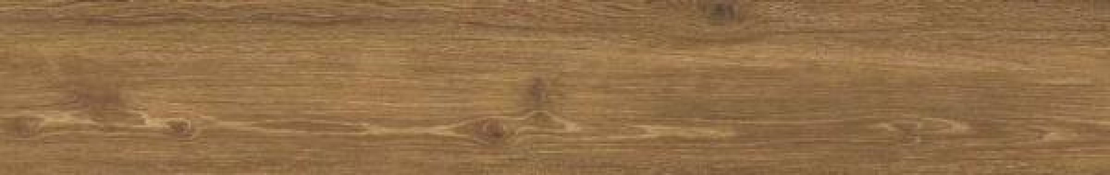 31601 Cigar AS 24x151