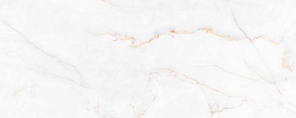 316231 Syrac Polished 120x300