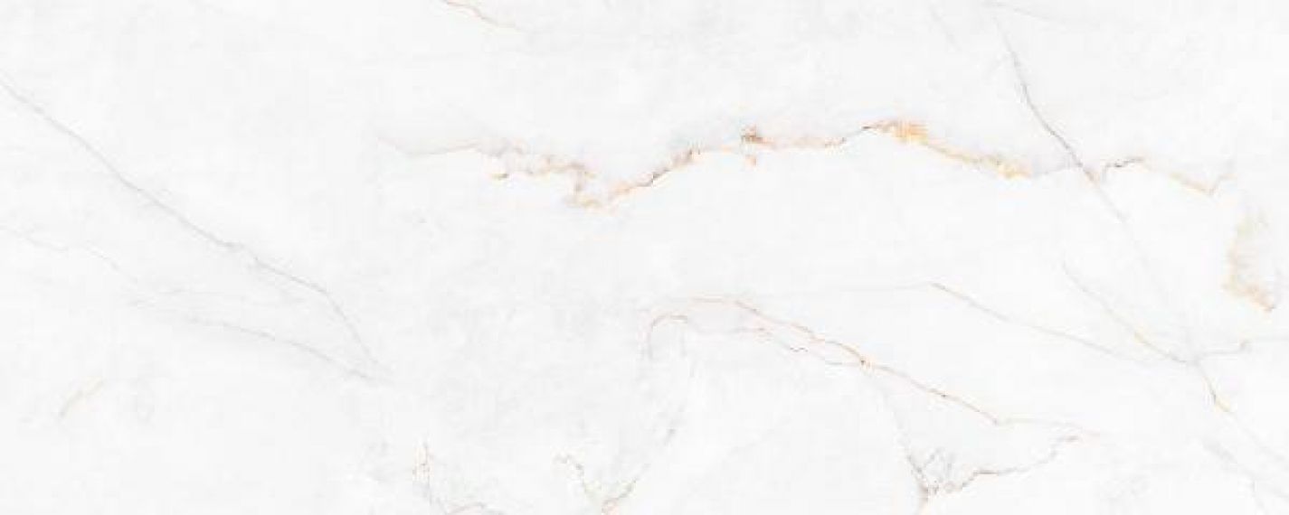 316231 Syrac Polished 120x300