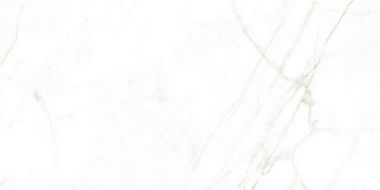 31739 Керамогранит Dual White NT 60x120