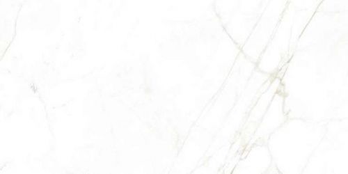 31739 Керамогранит Dual White NT 60x120