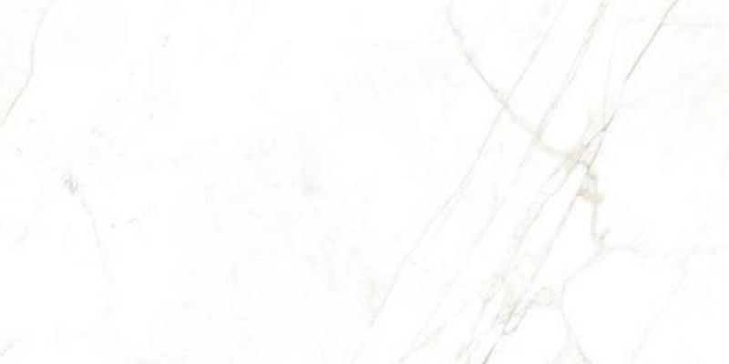 31739 Керамогранит Dual White NT 60x120