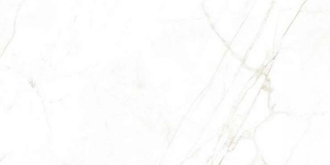 31739 White NT 60x120