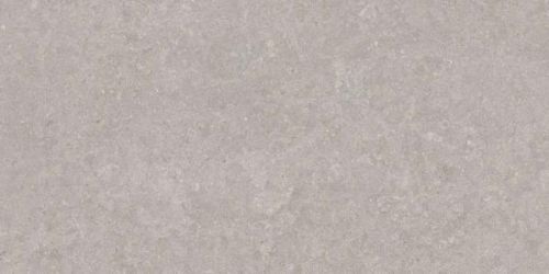 31751 Grey AS 60x120