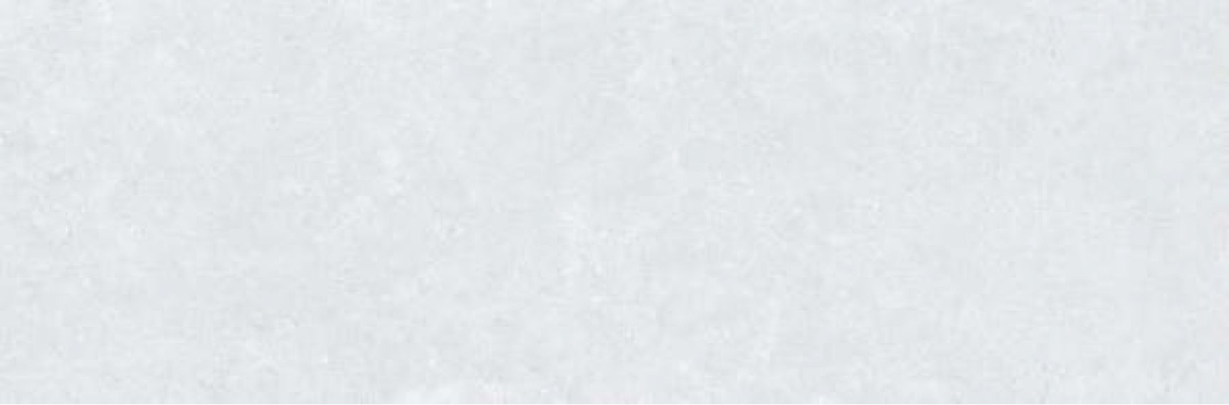 31861 Ghent White 33,3x100
