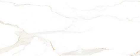 3193 Daynamic gold 43x107