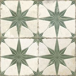 32449 FS Star Sage LT 45x45