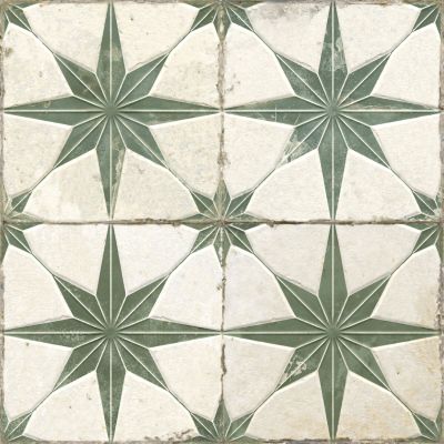 32449 FS Star Sage LT 45x45