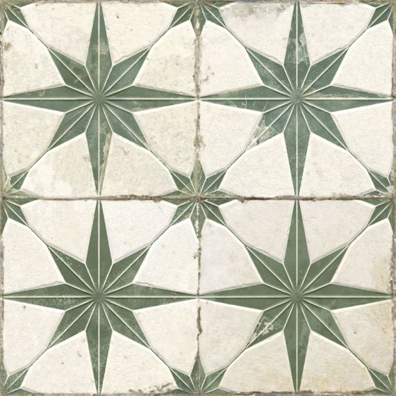 32449 FS Star Sage LT 45x45