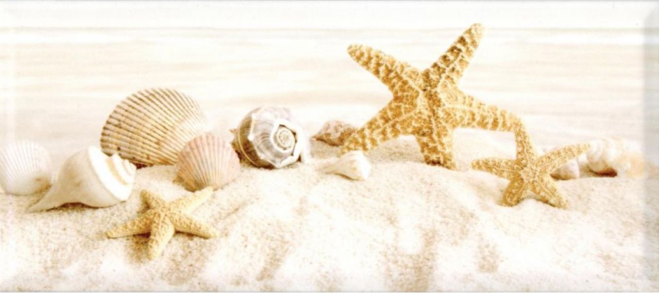 336761 Легенда Stella di mare 20x45