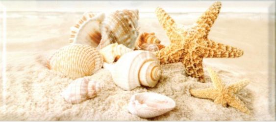 336763 Легенда Seashells 20x45