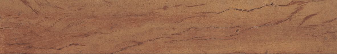 34881 FS FOREST PLANK NATURAL 7,3x45