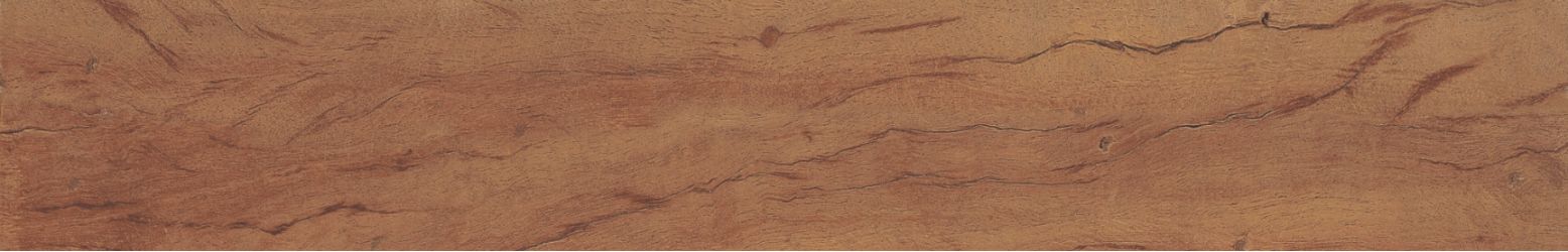 34881 FS FOREST PLANK NATURAL 7,3x45