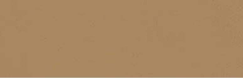 349K Плитка Zepto Siena 4,2x13