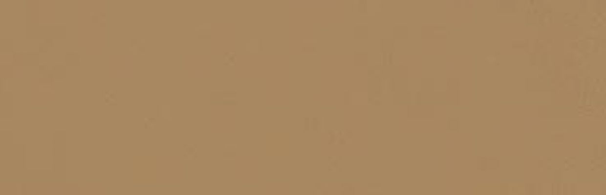 349K Плитка Zepto Siena 4,2x13