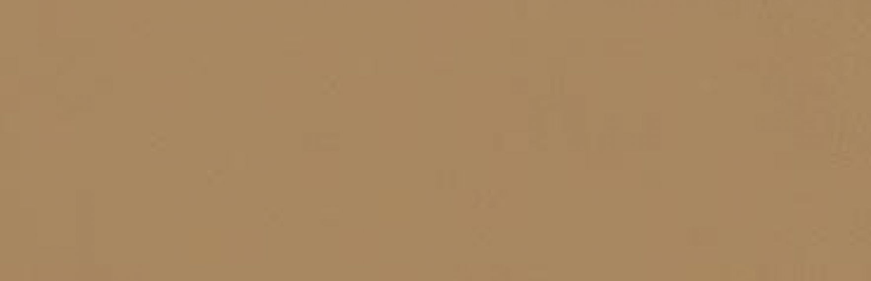 349K Плитка Zepto Siena 4,2x13