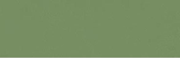 349M Плитка Zepto Verde 4,2x13