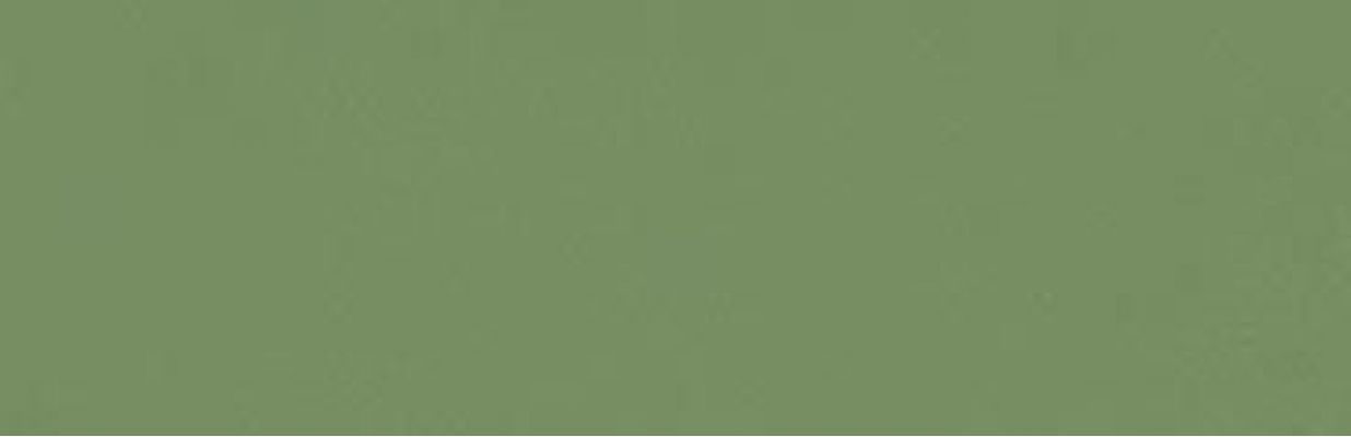 349M Плитка Zepto Verde 4,2x13