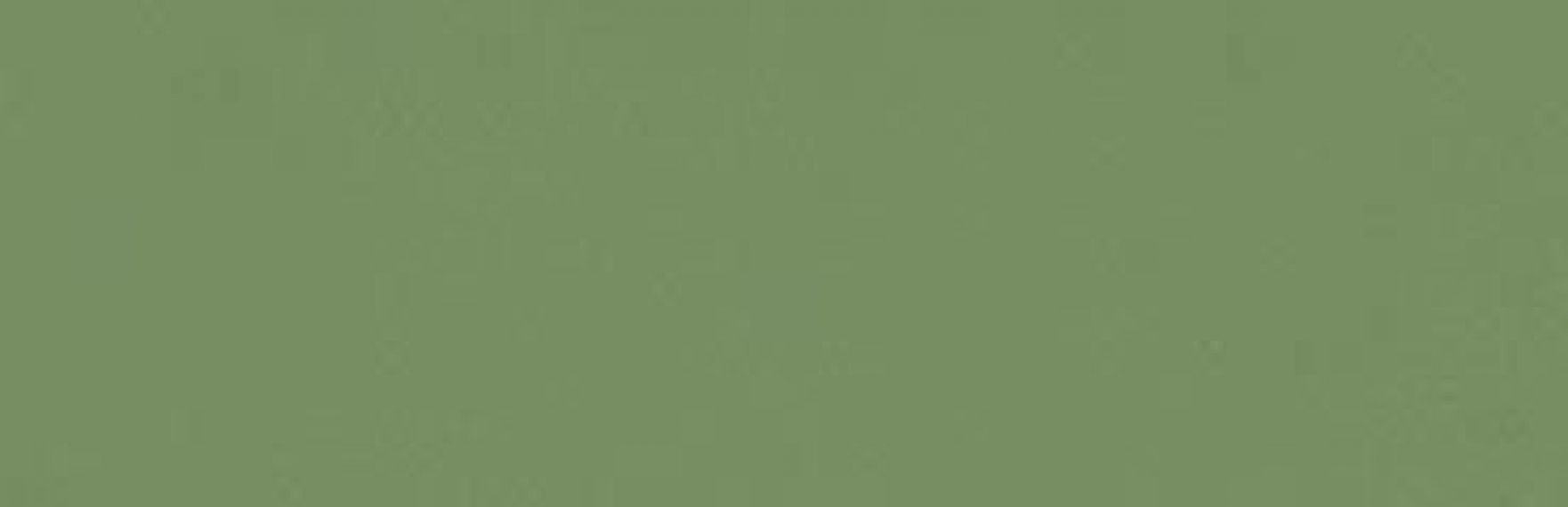 349M Плитка Zepto Verde 4,2x13