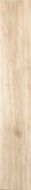 3620067 Tavolato Naturale Grano 20x120