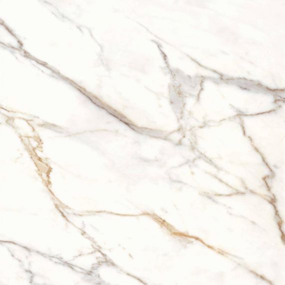 36CL20P Calacata Gold Pulido 119x119