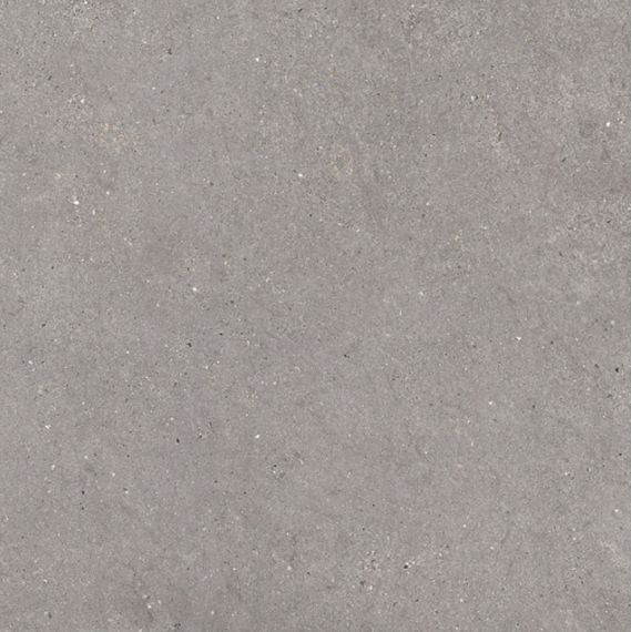36MI30R MITICA GRIS REC R10 120X120