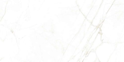38712 Керамогранит Dual White NT 60x120