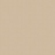 39231R Beige Rett. 31.5*31.5