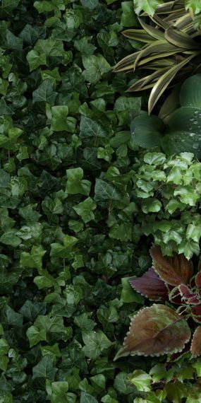 4100151 Jane A 50x100