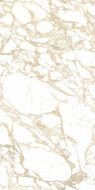 4100704 Pulp Gold Double Polished 60x120