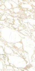 4100704 Pulp Gold Double Polished 60x120