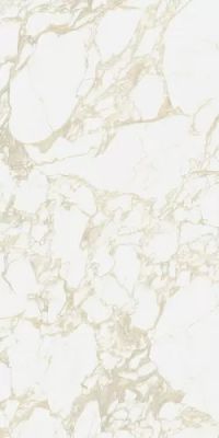 4100710 Pulp Gold Raw 60x120