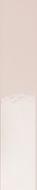 4100724 Rose Glossy 5x25