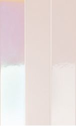 4100730 Rose Hologram Mix 5x25