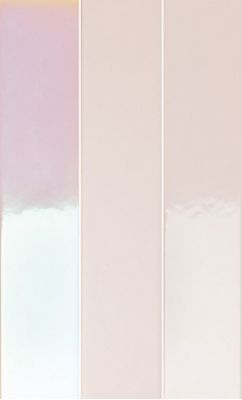 4100730 Rose Hologram Mix 5x25