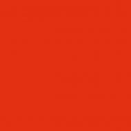 4100800 02 Lobster 11,55x11,55