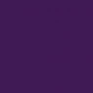 4100804 06 Violet 11,55x11,55