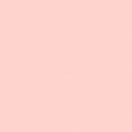 4100805 07 Rose 11,55x11,55