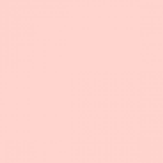 4100805 07 Rose 11,55x11,55