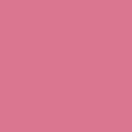 4100806 08 Strawberry 11,55x11,55
