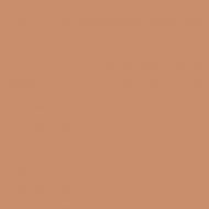 4100810 12 Terra 11,55x11,55