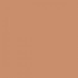 4100810 12 Terra 11,55x11,55