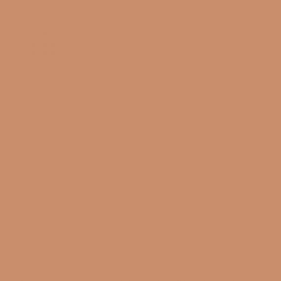 4100810 12 Terra 11,55x11,55