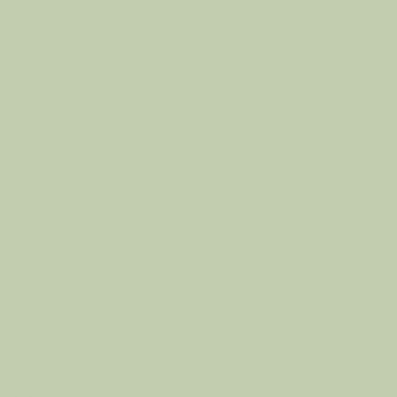 4100834 36 Salvia 11,55x11,55
