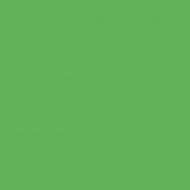 4100836 38 Frog 11,55x11,55