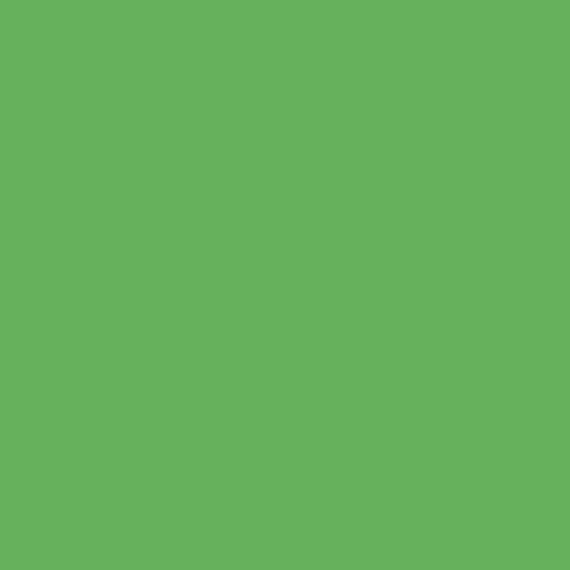 4100836 38 Frog 11,55x11,55