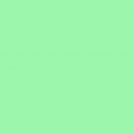 4100839 41 Mint 11,55x11,55